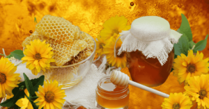 Organic Raw Honey