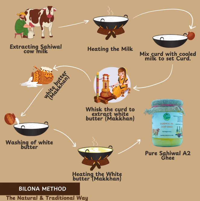 BILONA METHOD FOR A2 SAHIWAL COW GHEE