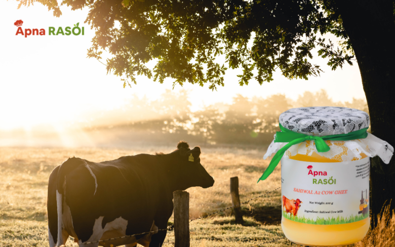 sahiwal cow ghee